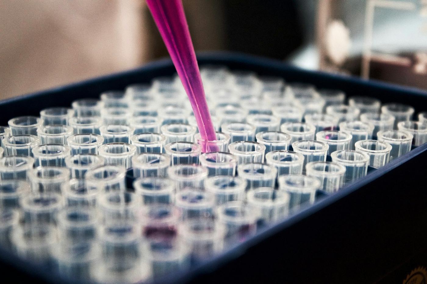 Pipetting samples into a well plate